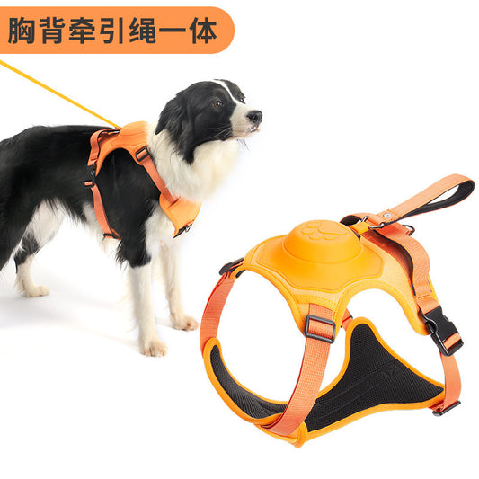 Stijlvol hondenharnas met ingebouwde riem voor extra veiligheid